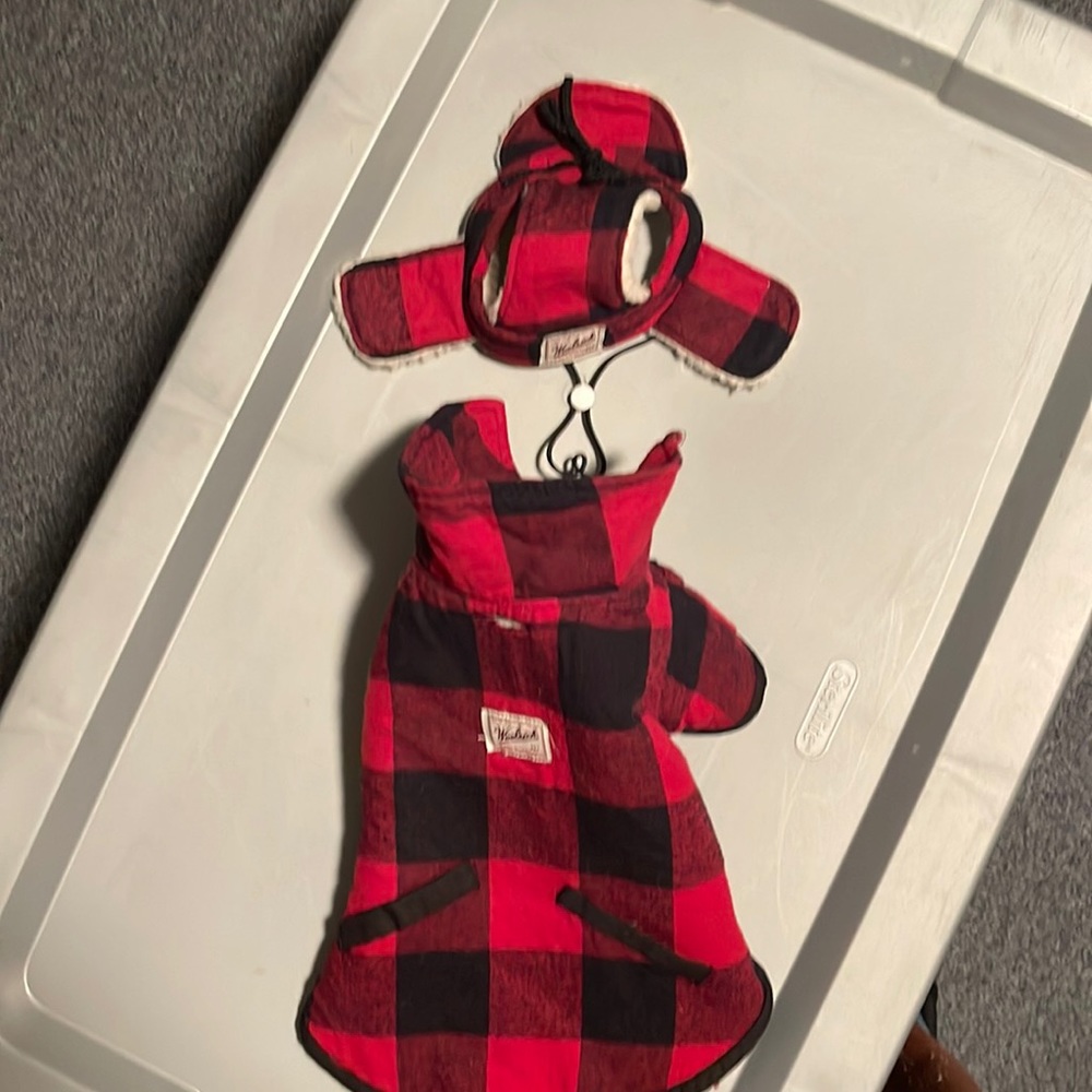 Puppy cost with hat